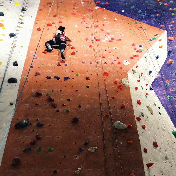 Fecal Matter & Climbing Gym Holds