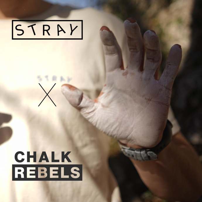 CHALK REBELS Goes Stray