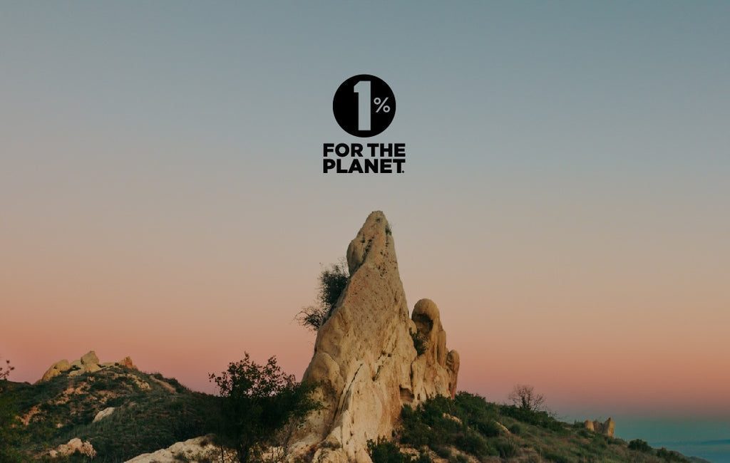 Meeting 1% For The Planet in Amsterdam