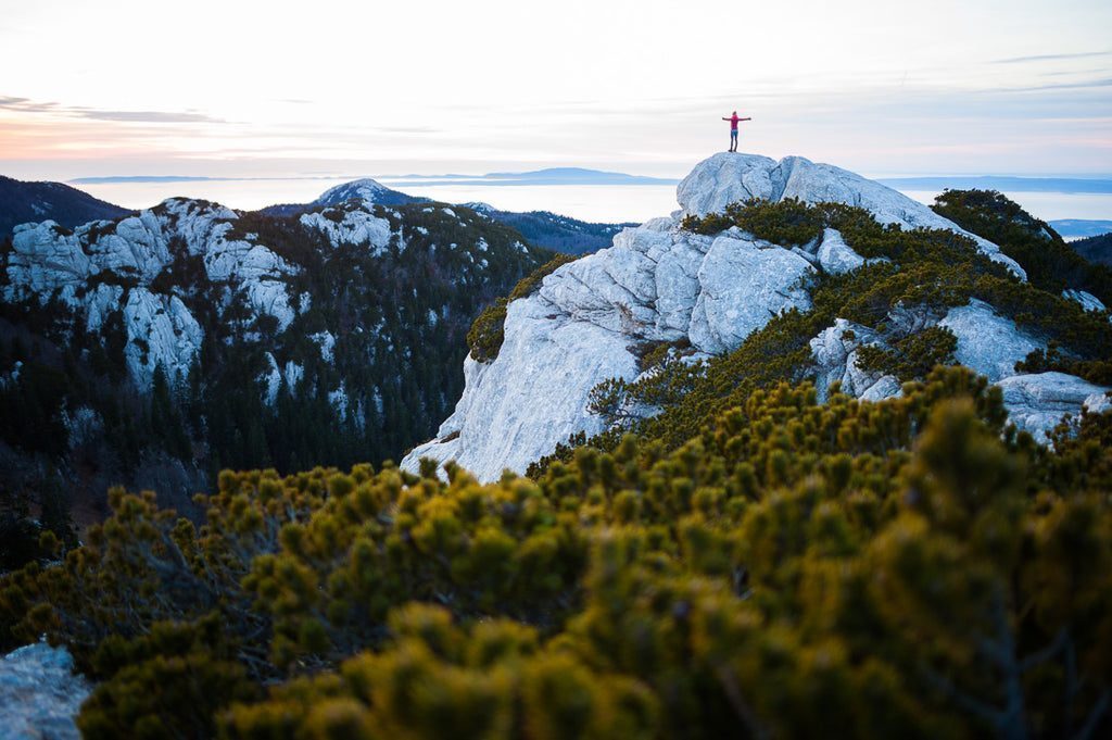 One Tree Planted for Every Website Order