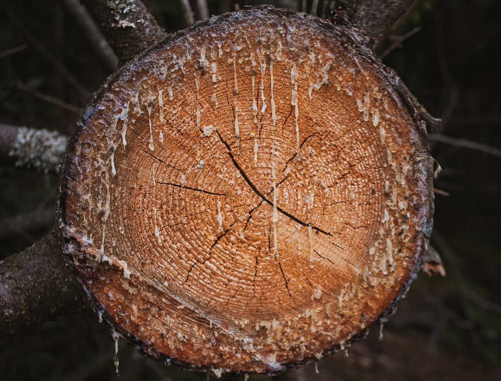 Resin Considered Harmful in Chalk