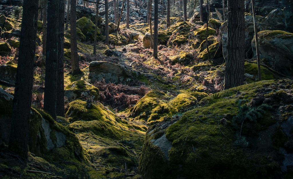 Performance & Feeling of Chalk