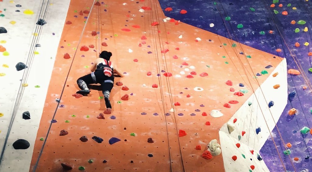 Fecal Matter & Climbing Gym Holds