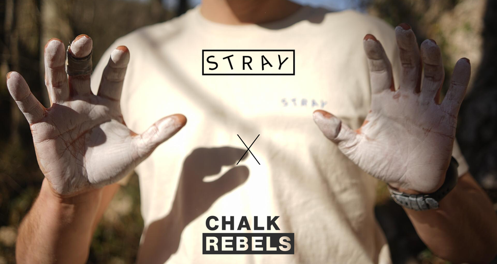 CHALK REBELS Goes Stray
